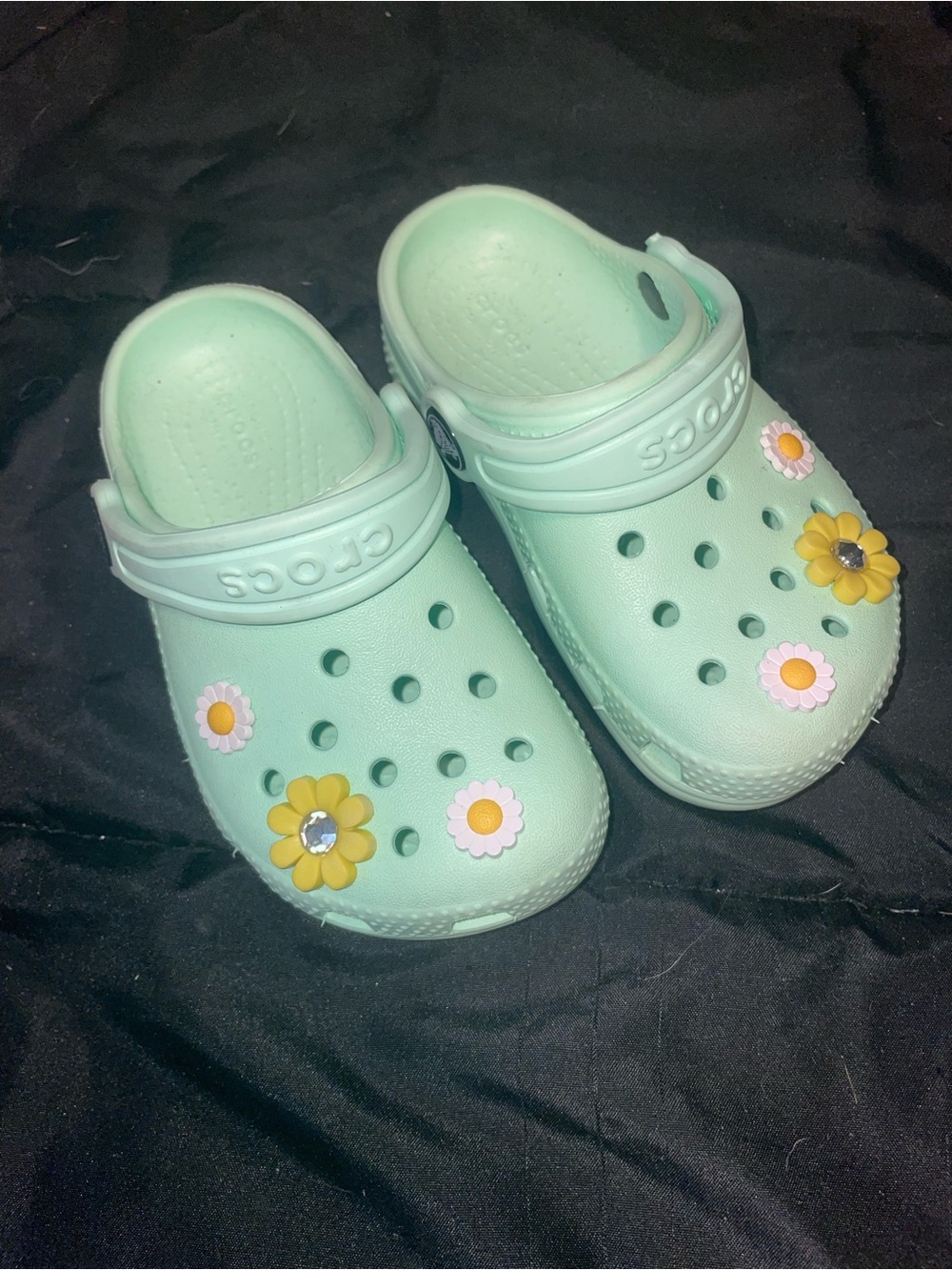 Crocs Kids' Mint Green Clog with Floral Charms c8